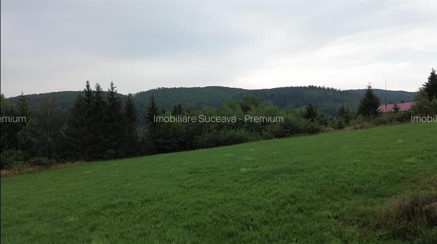 Teren 5023 mp  In Bucovina Zona Manastirea Voronet De Vanzare 0727817187 - 5