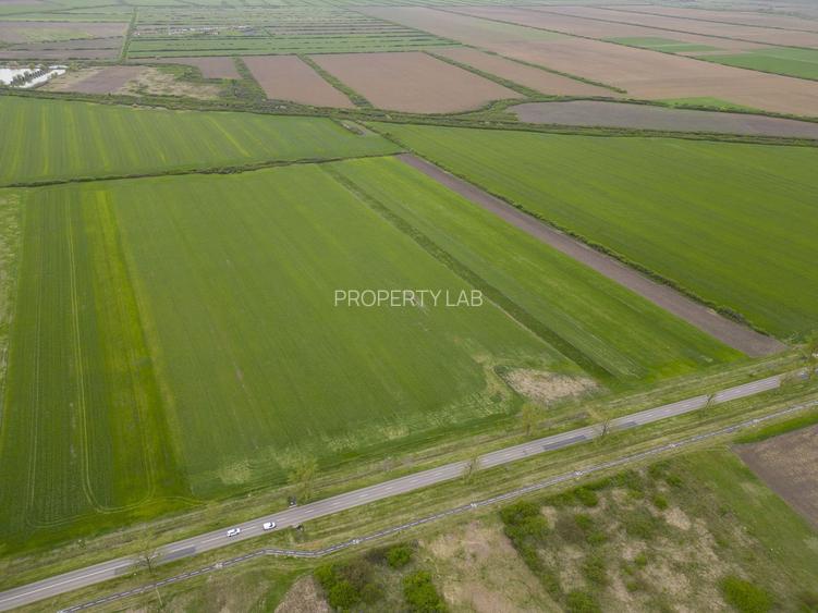 Teren extravilan de 22500mp Zona Ineu - 8