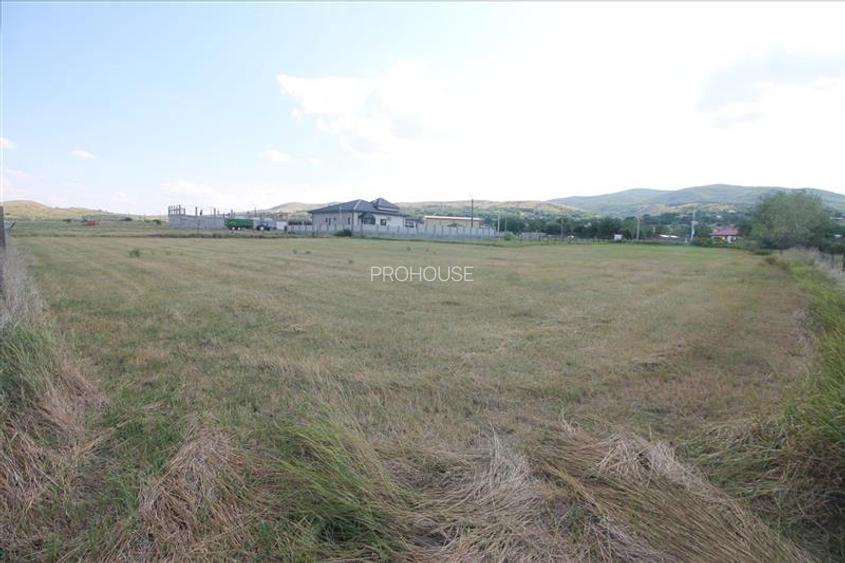 Teren 3000 mp intravilan - Sarata - 9