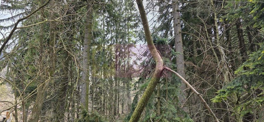 Etaj vilă istorică de vânzare în Sinaia – Zona Furnica - 6