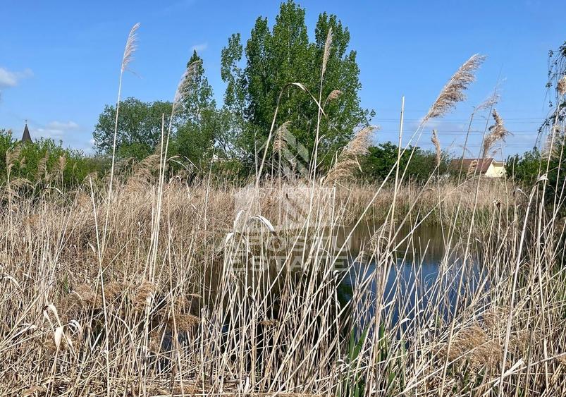 Casa individuala cu curte individuala si gradina - Zona Gai - 20