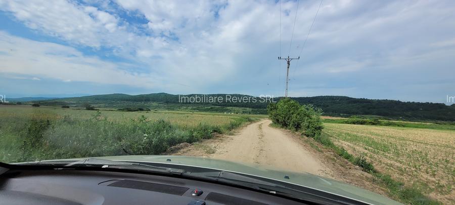 TEREN AGRICOL BABENI LANGA ABATOR LA PROVINCIA - pretabil ferma cu panour solare - 17