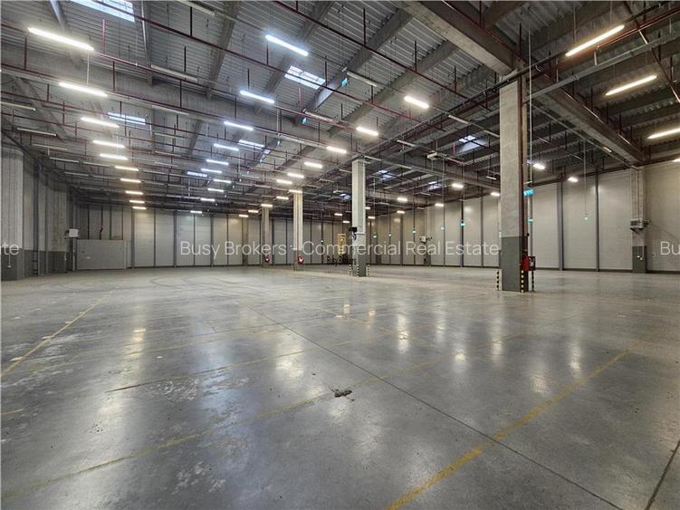 Spatii Industriale - 5000 mp - Logistica - Depozitare - Productie - 14