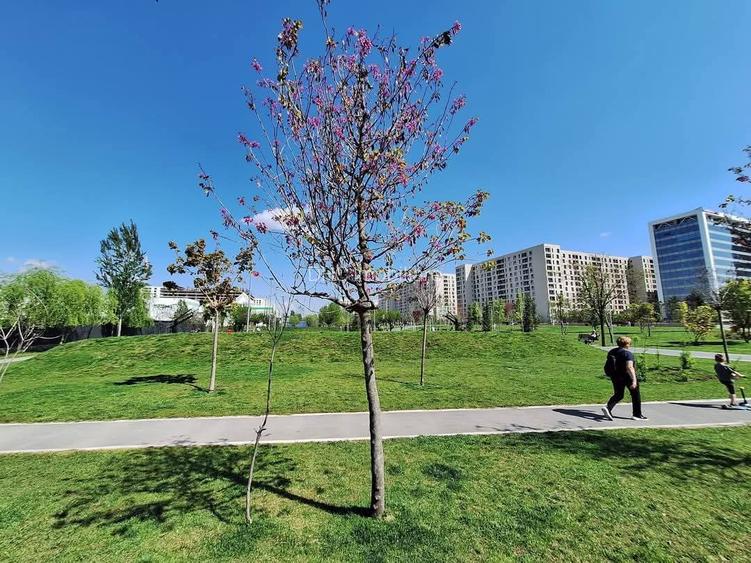 Exigent Plaza Residence faza 2 superba - 16