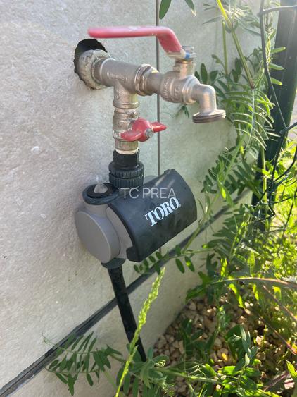 Amber Forest, Vila de  Lux 4 camere, 3 bai, grădină - 4