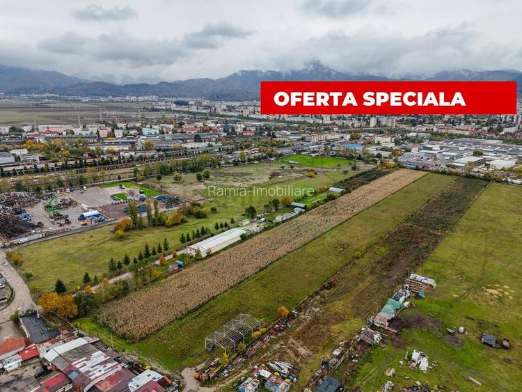 Teren industrial- Timișul Sec oportunitate investițională - 6