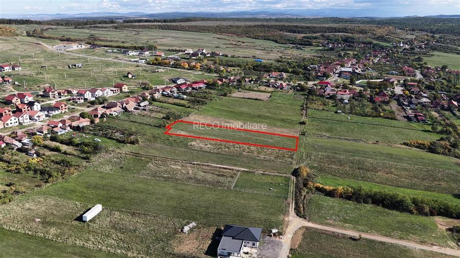 RECO Teren Intravilan Betfia - 3