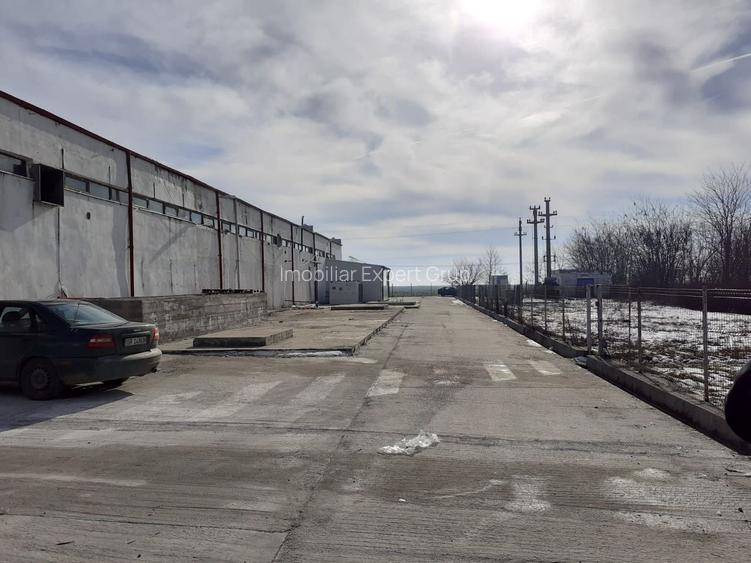 Hala industriala Frumusani - Buciumeni - 10