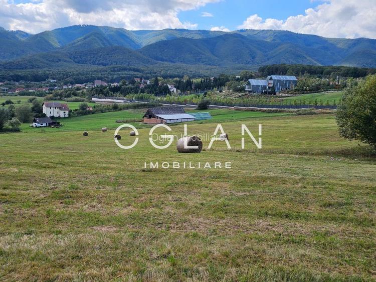 Teren Tocile (parcelabil) 3500 mp  - 4