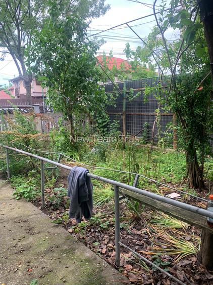Voluntari   Vanzare Casa  batraneasca cu  teren  400mp - 3
