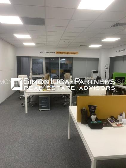 Birouri de inchiriat Brancusi - 12