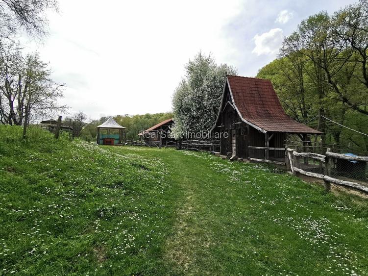 Oportunitate, Restaurant cu MiniPensiune 800mp, 1,8ha teren, Via Transilvanica - 18