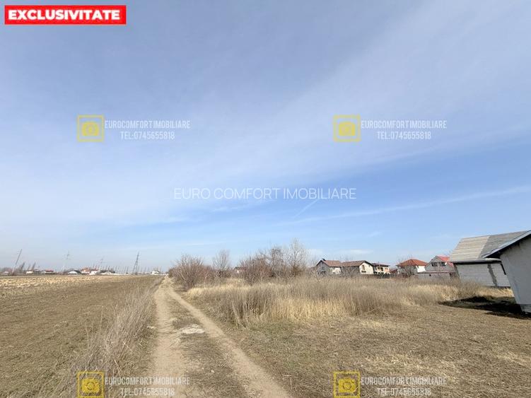 teren 600mp in Vanatori la iesirea spre Odaia Manolache - 3