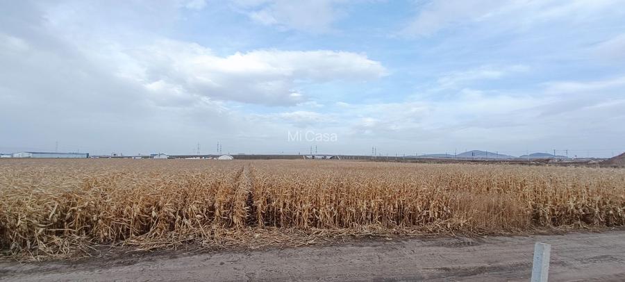 Teren intravilan industrial,str.Durau - 2