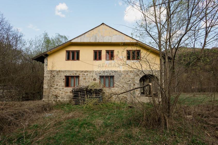 Casa si teren intravilan Tarcau - 28