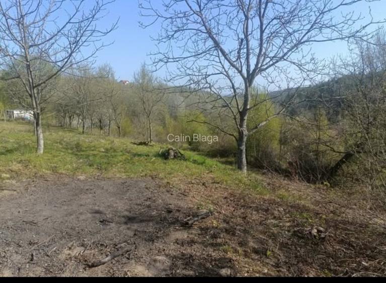 Teren cu vedere superbă in natură  - 2