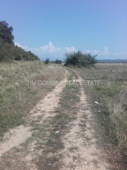 Teren, loc de casă, vânzare 3500 mp Cornesti-Bălești-Gorj, 2 euro mp - 6