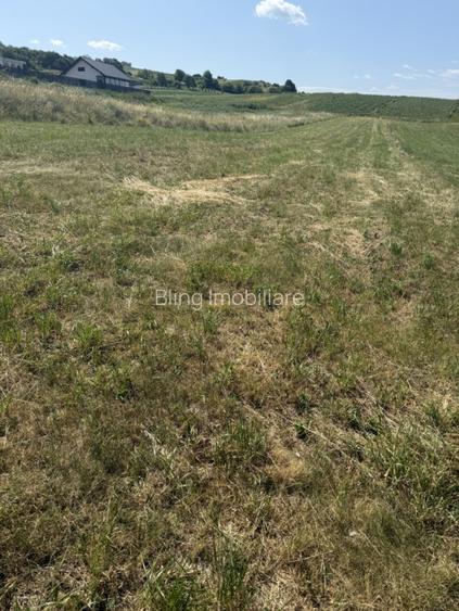 INVESTITIE! Teren intravilan Popesti - 1400mp! - 4