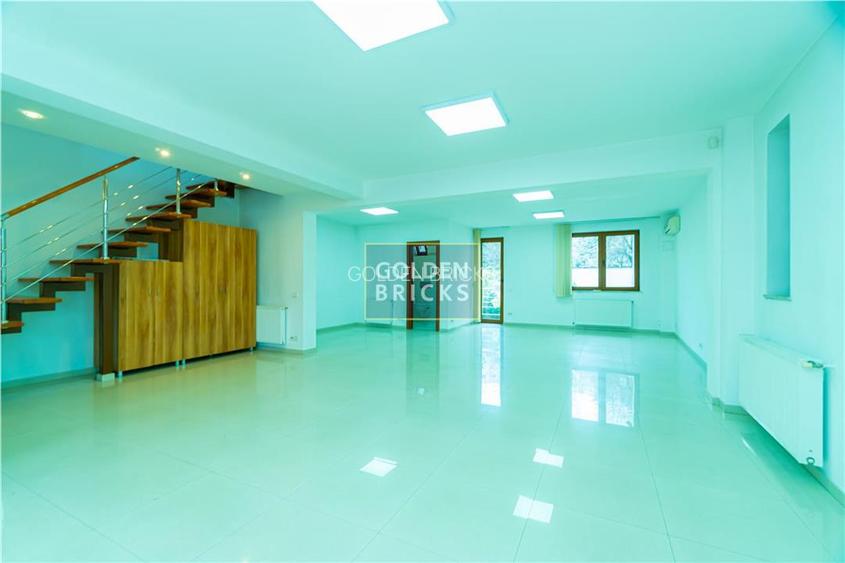 Piata Victoriei | Parter si etaj in vila | Garaj | 160mp - 13