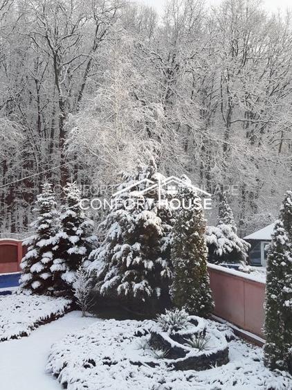 VILA D+P+E+M, 12 camere, piscina , padure, IANCU NICOLAE - 44