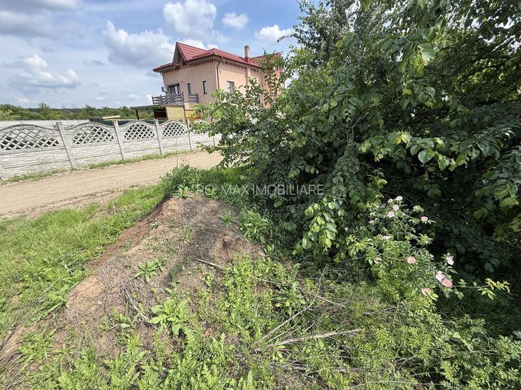 Teren intravilan 498,02 mp langa pădure , strada privata Corbeanca - 13