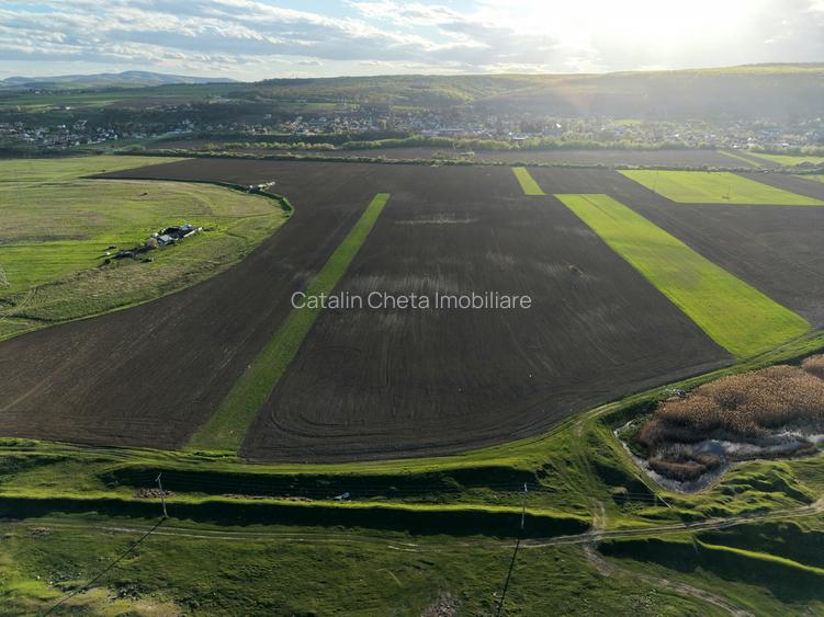 Teren de vanzare langa Bacau – 11.016 mp in Hemeius, pretabil pentru investitie - 5