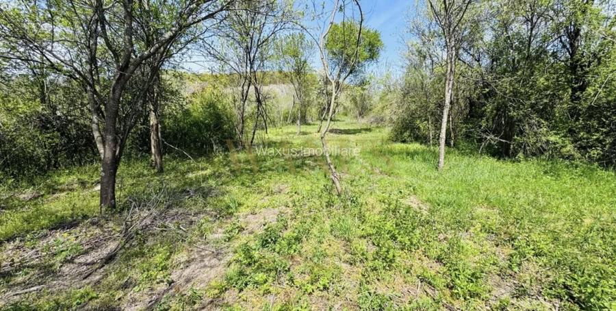 Casă indiviala  + teren intravilan 2.395 mp | Ciurila | 157.000 - 6