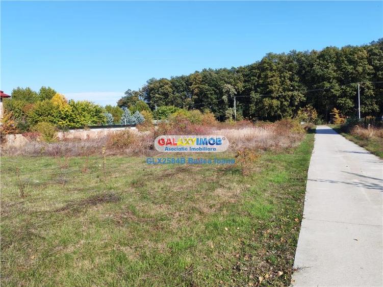Teren intravilan 471 mp - str Timpului - Corbeanca - 8