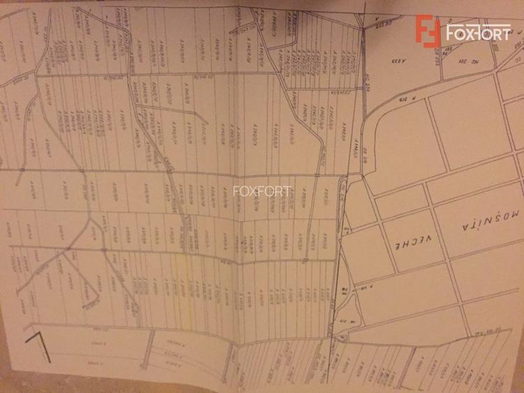 Teren 20000 mp intre Mosnita Veche si Bucovat - ID V4317 - 3