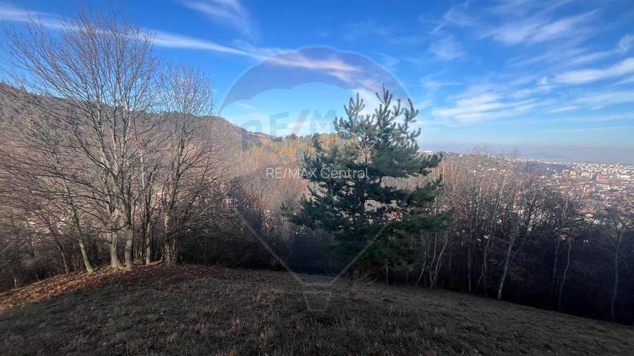 Teren Colinar Panoramic – 17.684 mp în Scheii Brașovului - 11