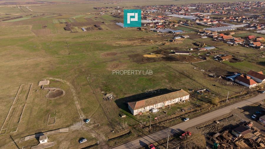 Hală industrială cu teren generos în Zărand, Arad - 34