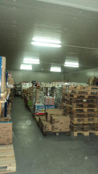 Zona Industriala , hala frigorifica 527 mp. - 7