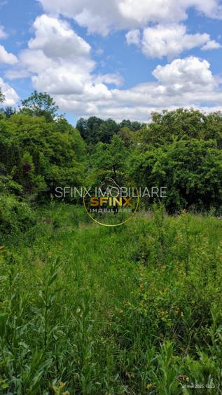 Teren intravilan cu deschidere la parau in Breaza – Strada Primaverii - 10