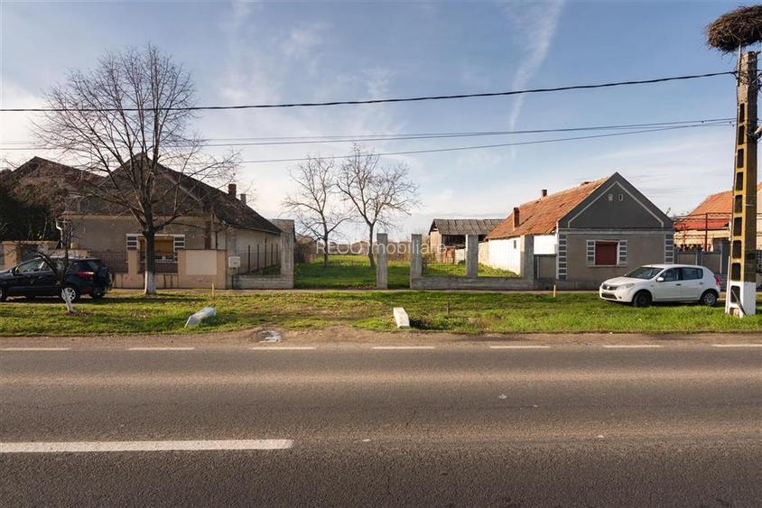 RECO Teren in nojorid - 12