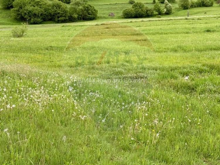 Teren 20,876mp Breb / Drumul Principal - 4