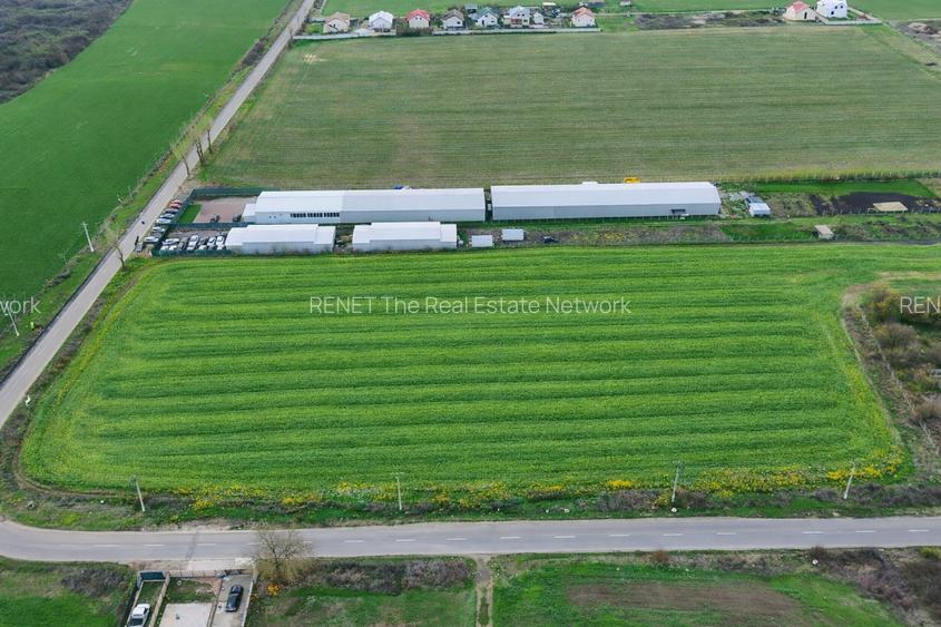 Teren intravilan 7.811 mp | Ciolpani, Ilfov | Acces drum public - 3