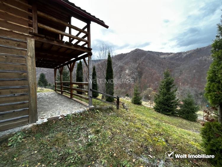 Oportunitate unica! 5ha + 2 cabane de vacanta in Valea Ierii - 8