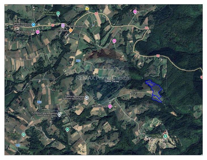 De vânzare casă cu teren și pădure 55706 mp - Șinteu, Valea Târnei - 1