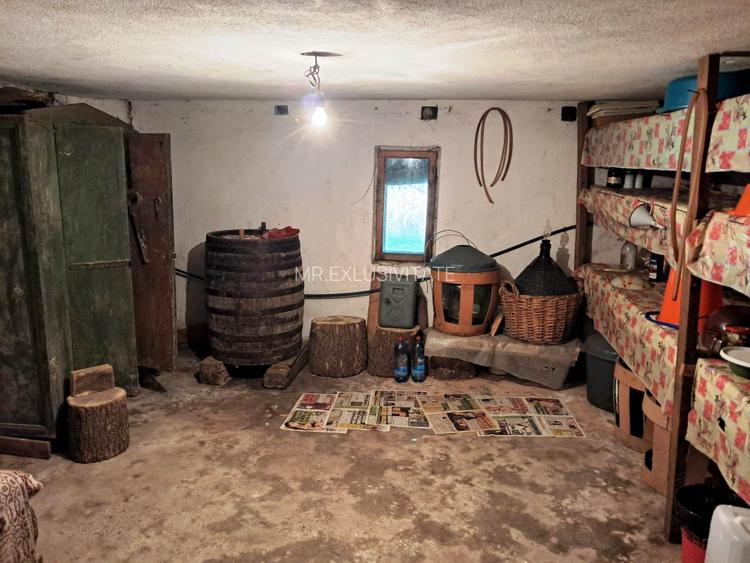 CASĂ SI TEREN BAIA DE FIER - 13