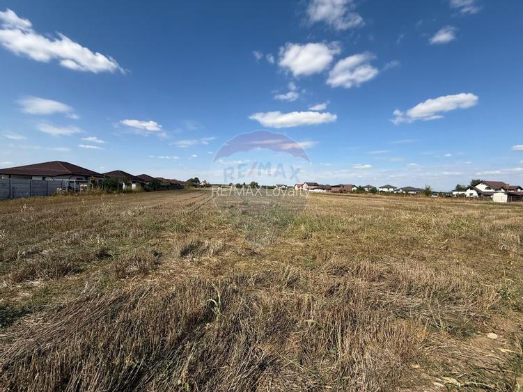 Vand teren intravilan 5000 mp in Sabareni - 5