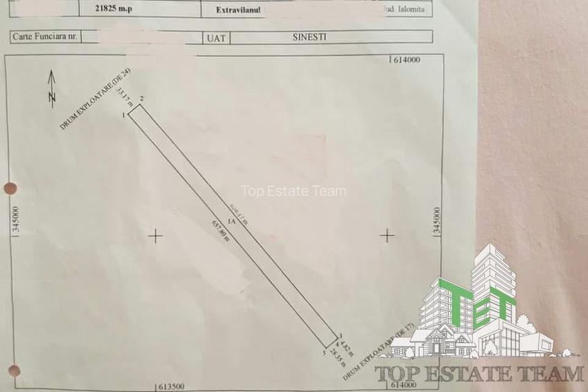 Teren  de vazare pt investitie, Sinesti, 4 eur / mp, 21000mp , Ialomita - 2