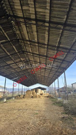 Teren industrial de vânzare în Ghidfalău cu depozit de fân! - 4