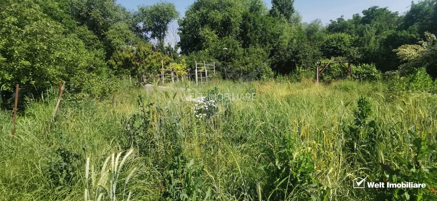 Casa individuala cu teren mare, 2 surse de apa, Moldovenesti-Cluj - 22