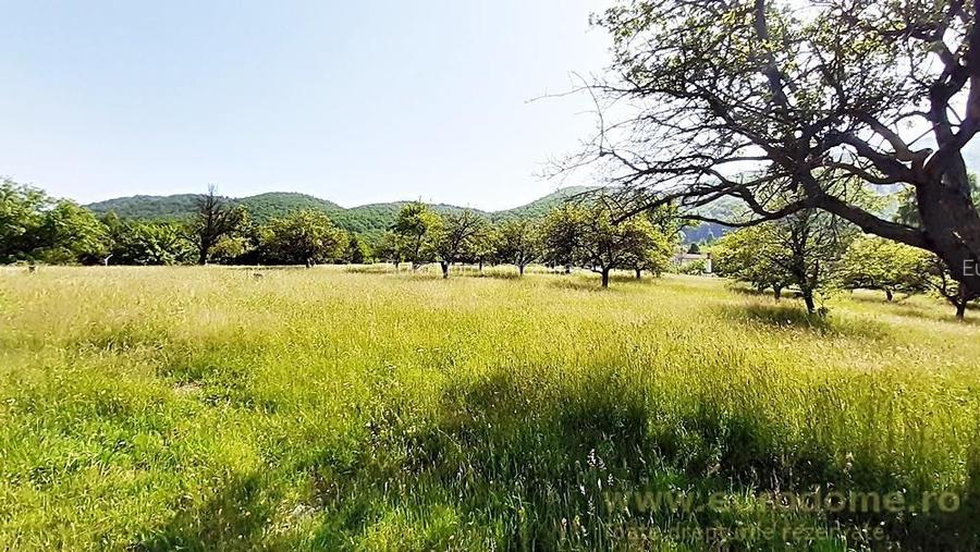 Teren superb in Bran la 5 min de Castel, 37 euro/mp. - 2