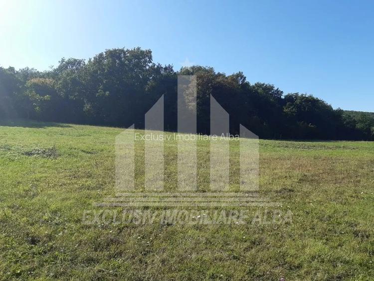Teren intravilan | De vanzare | 791mp | 16ml deschidere | Alba-Micesti - 3