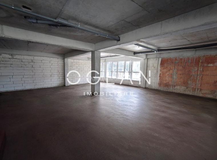 Spatiu Comercial 305 mp+ gradina 178mp, Bieltz/Turnisor - 5