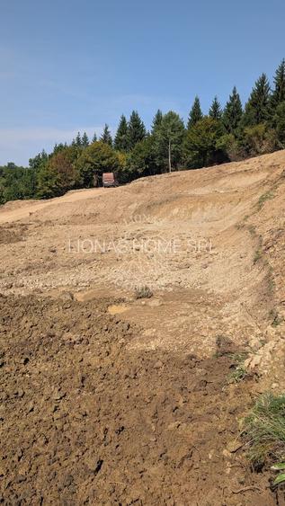 Teren 5930 mp- 1,4 km centru- investitie, cabana in natura - 5