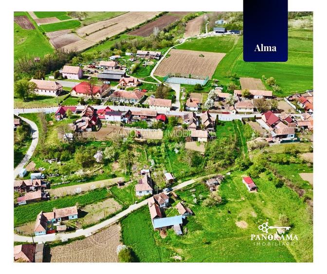 Teren Intravilan cu cabana  in satul transilvanean Alma - 14