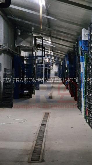 DE VANZARE Platforma cu  2 hale de 2074 mp amplasate pe un teren de 8762 mp - 7