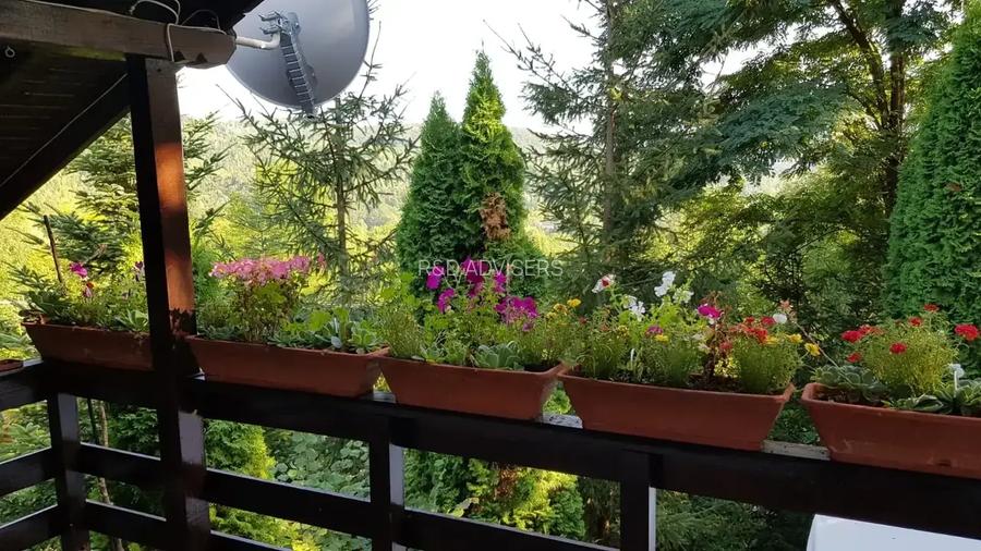 CASA DE VACANTA |  PRAHOVA| PROVITA DE JOS | BREAZA | - 8